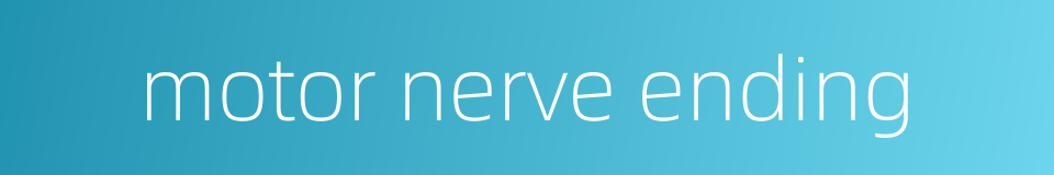 motor nerve ending的同义词