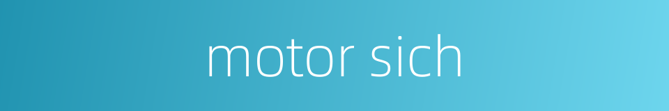 motor sich的同义词