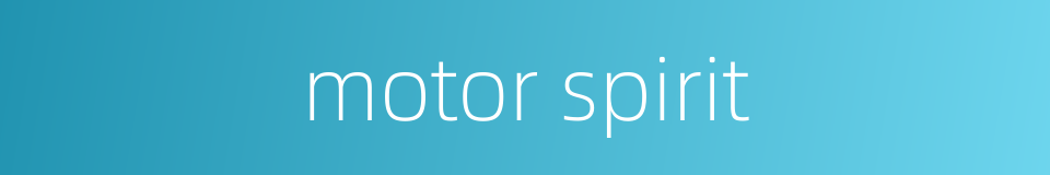 motor spirit的同义词