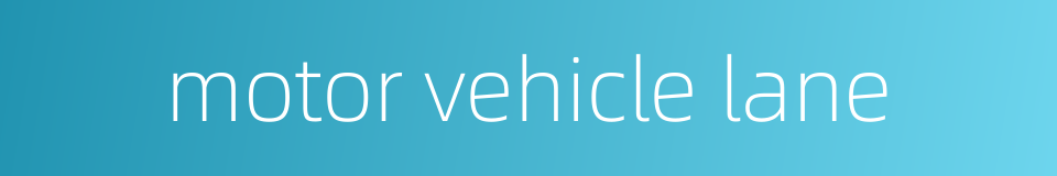 motor vehicle lane的同义词