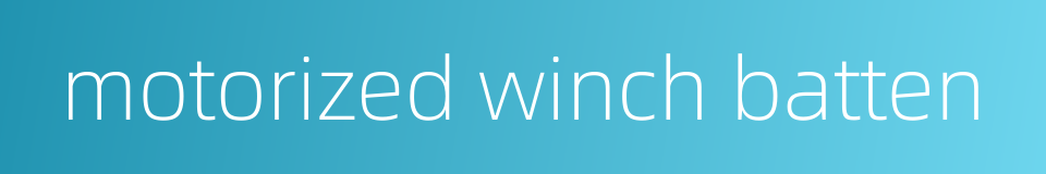 motorized winch batten的同义词