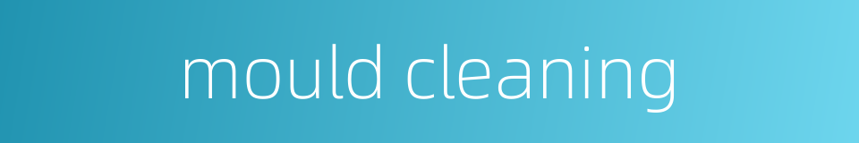 mould cleaning的同义词