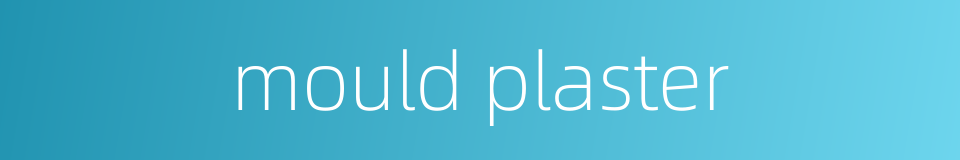 mould plaster的同义词