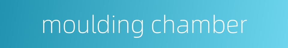 moulding chamber的同义词