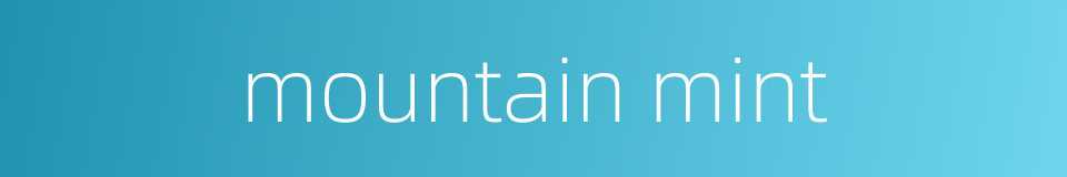 mountain mint的同义词