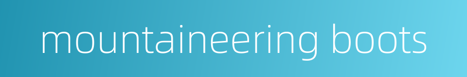 mountaineering boots的同义词