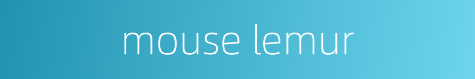 mouse lemur的同义词