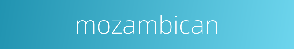 mozambican的同义词