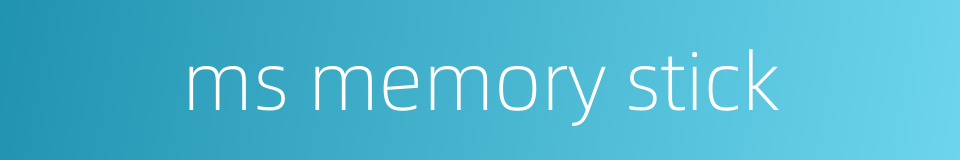 ms memory stick的同义词