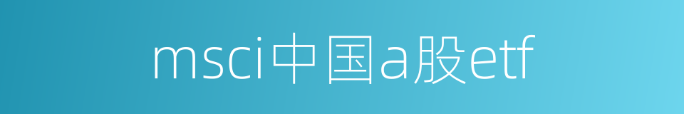 msci中国a股etf的同义词
