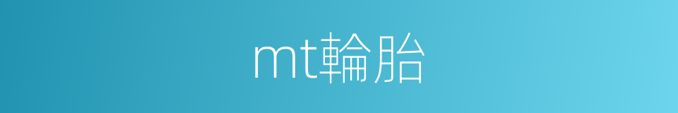 mt輪胎的同義詞