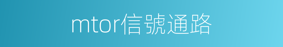 mtor信號通路的同義詞