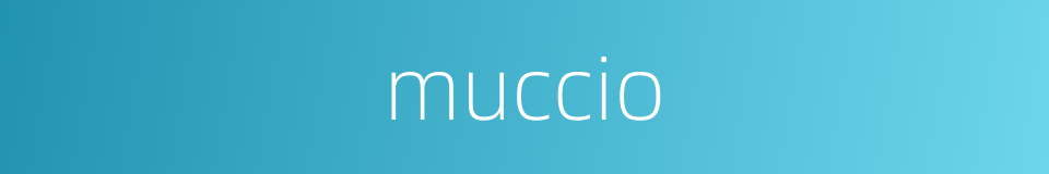 muccio的同义词