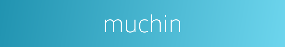 muchin的同义词