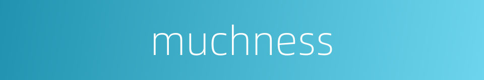 muchness的同义词