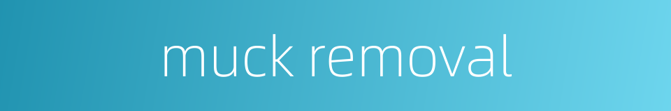 muck removal的同义词