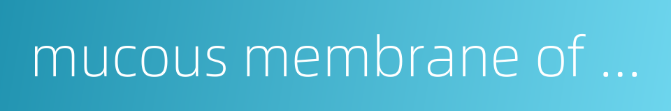 mucous membrane of small intestine的同义词