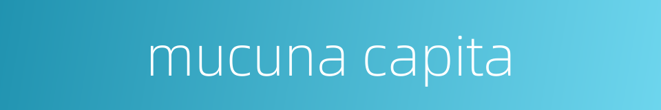mucuna capita的同义词