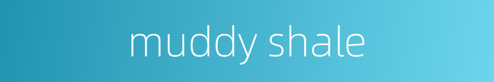 muddy shale的同义词