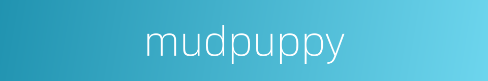 mudpuppy的同义词