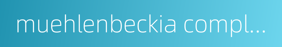 muehlenbeckia complexa的同义词