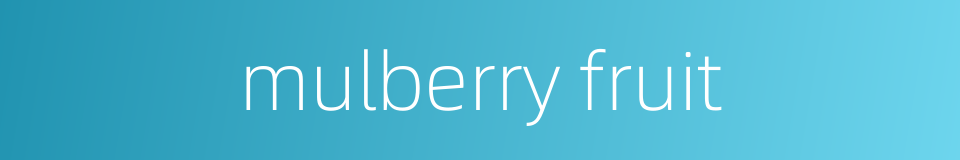 mulberry fruit的同义词