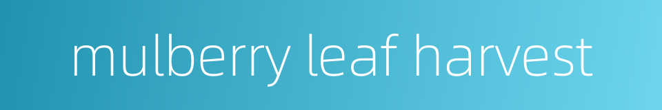 mulberry leaf harvest的同义词