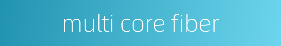 multi core fiber的同义词
