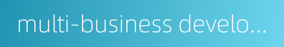 multi-business development strategy的同义词