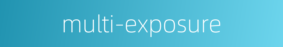 multi-exposure的同义词