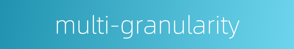 multi-granularity的同义词