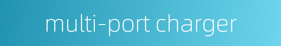 multi-port charger的同义词