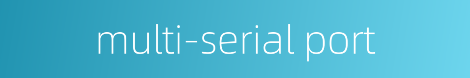 multi-serial port的同义词