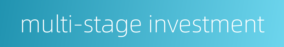 multi-stage investment的同义词