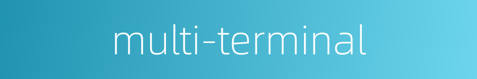 multi-terminal的同义词