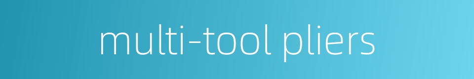 multi-tool pliers的同义词