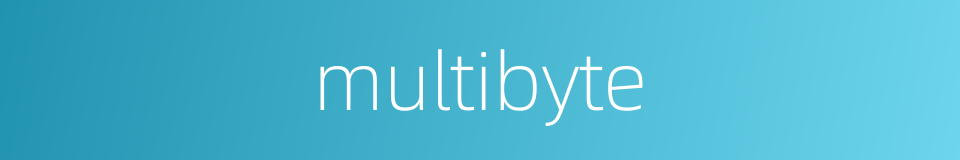 multibyte的同义词