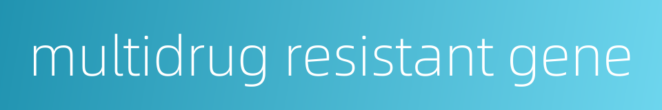 multidrug resistant gene的同义词