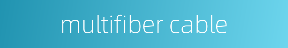 multifiber cable的同义词