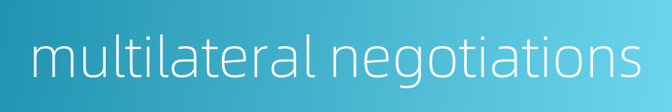 multilateral negotiations的同义词