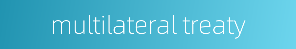 multilateral treaty的同义词