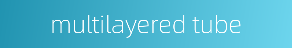 multilayered tube的同义词