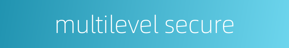 multilevel secure的同义词