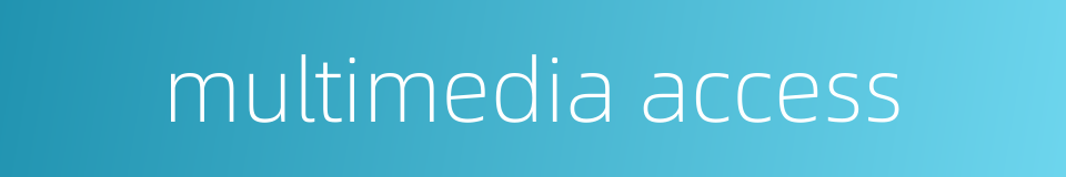 multimedia access的同义词