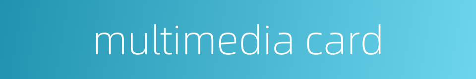 multimedia card的同义词