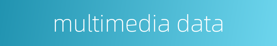 multimedia data的同义词