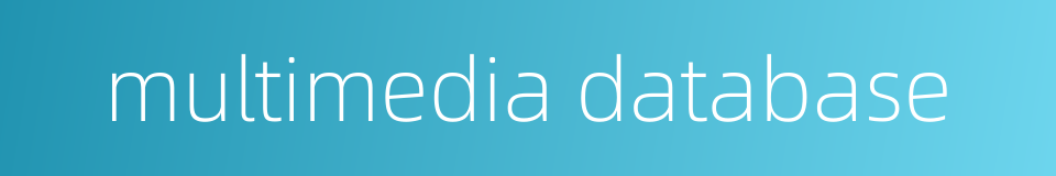 multimedia database的同义词