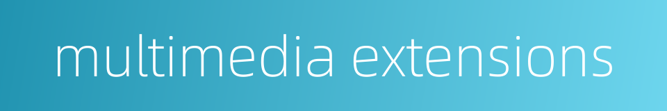 multimedia extensions的同义词