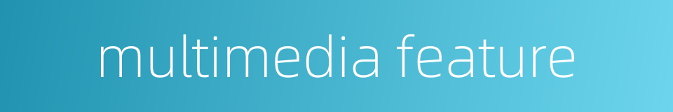 multimedia feature的同义词