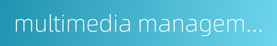 multimedia management的同义词